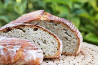 Kváskový chleba pečený v remosce