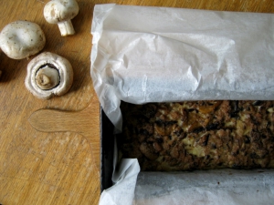 Hubová terina Hubová terina