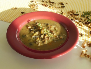 Houbová polévka Houbová polévka