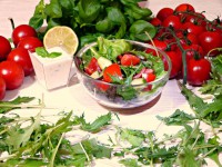 Zeleninový salát s listy Mizuna, rajčaty se zálivkou ze zakysané smetany