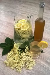 Medový sirup s citrónem a bezovými květy
