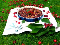 Rýžovo-pohankový drobenkový koláč s třešněmi, rybízem a borůvkami