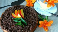 Tvarohový koláč s karobem a nektarinkami