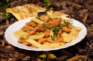 Penne s kuřecím masem a hříbkovou omáčkou