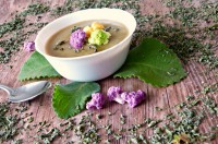 Polévka z barevných květáků, batátu, petržele, kmínu,majoránky a Rýmovníku