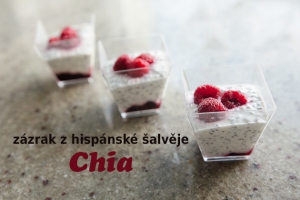 Jogurtový dezert s chia