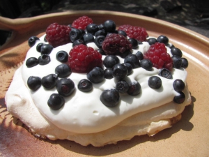 Dort Pavlova