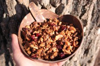 Ořechová granola s klikvou a karobem