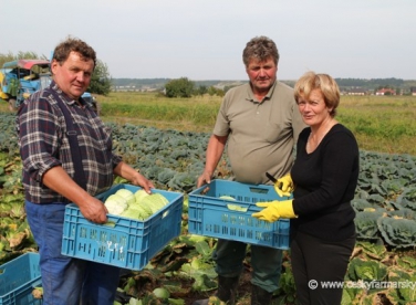 Farma Svačinovi, Ovčáry (okres Mělník)