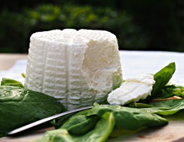 Ricotta - tajemství její chuti