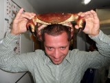 Živý krab